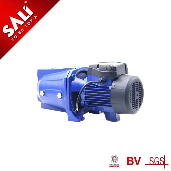 Electric Jet Water Pump